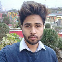 Rajat Bora-Freelancer in ,India