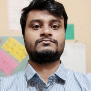 Md Mirajul Islam-Freelancer in Pabna,Bangladesh