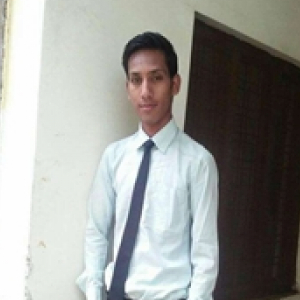 Nilesh Nath-Freelancer in NEEMUCH,India
