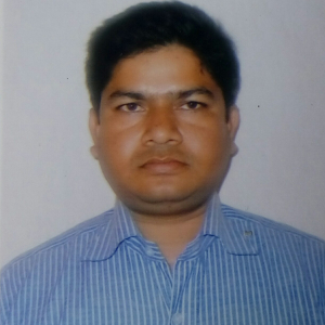 Ratan Chandra Mandal-Freelancer in ,India