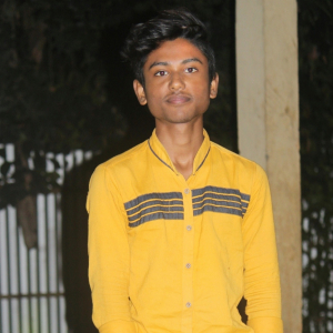 Raj Biswas-Freelancer in ,India