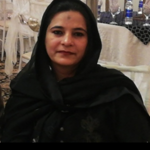 Majda Batool-Freelancer in Lahore,Pakistan