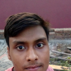 Prince Yadav-Freelancer in Noida,India
