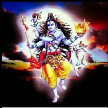 Pream Prince-Freelancer in ,India