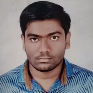 Mohammed Ismail Naikodi-Freelancer in ,India