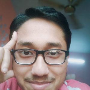 Biswadeep Bhowmik-Freelancer in ,India