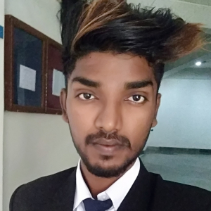 Ashif Hussain-Freelancer in N.K Darranga,India