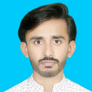 Hamza Javed-Freelancer in Multan,Pakistan
