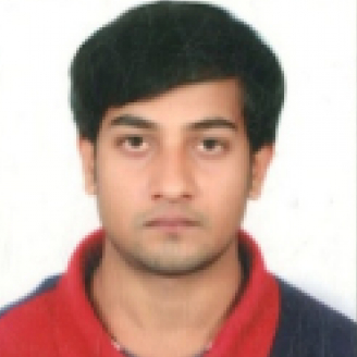 Mantu Kumar-Freelancer in Patna,India
