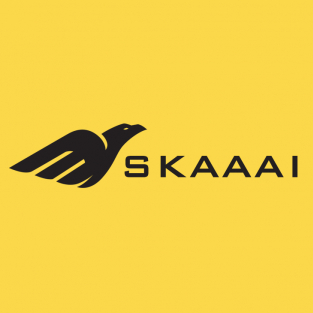 Skaaai Team-Freelancer in New Delhi,India