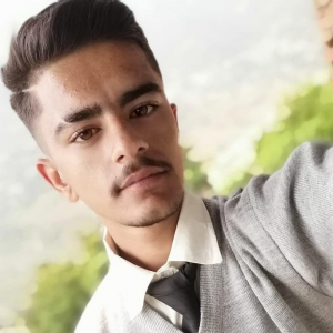 Ajeet Kumar-Freelancer in Chandigarh,India