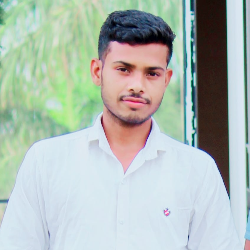 Kartik Kumar-Freelancer in ,India