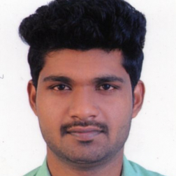 Sajeesh Kumar s s-Freelancer in ,India