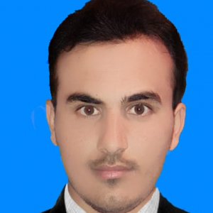 Abdul Majid-Freelancer in Rawalpindi,Pakistan