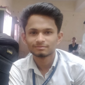 Vikas Meshram-Freelancer in ,India