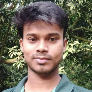 Rashed Hasan Raj-Freelancer in Rajshahi,Bangladesh