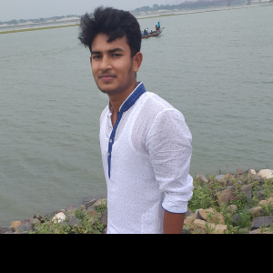 Mushfiqur Tanvir-Freelancer in Kushtia ,Bangladesh