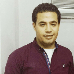 Mohamed Mahmoud-Freelancer in Cairo,Egypt