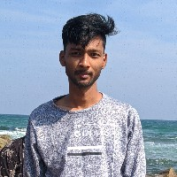 Devesh Sahu-Freelancer in Saddu,India