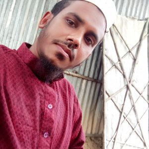 Md Merajul Islam-Freelancer in Dhaka,Bangladesh