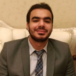 Muhammed Hussein Abd Elhakeem Mansour-Freelancer in Suez,Egypt