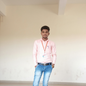 Ranjit Misal-Freelancer in ,India