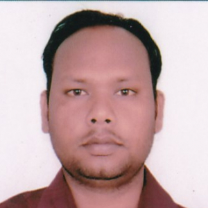Narayan Singh Kushwah-Freelancer in Vidisha,India