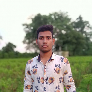 Mahmud Hossain-Freelancer in Nawabganj,Bangladesh
