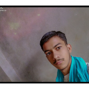 Ankit Kumar-Freelancer in Bikaner,India