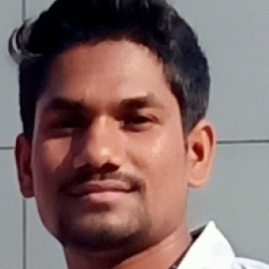 Bosi Lavanayakumar-Freelancer in ,India