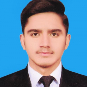 Syed Babar Hussain Shah-Freelancer in Karachi,Pakistan