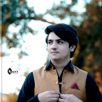 Syed Ali Raza-Freelancer in Jhang,Pakistan