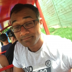 Rajan Mittal-Freelancer in Bhawan,India