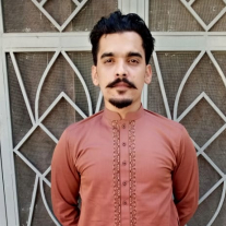 Abubkr Qureshi-Freelancer in Mirpur,Pakistan
