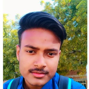 Akash Kumar-Freelancer in Delhi,India