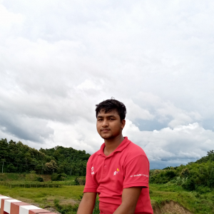 Md Akramul Islam Emon-Freelancer in ,Bangladesh