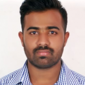 Vineeth Pillai-Freelancer in Chitradurga,India