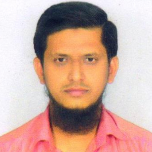 Mohammad Sadiqpasha-Freelancer in ,India