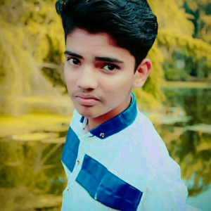 Piyush Choudhary-Freelancer in ,India