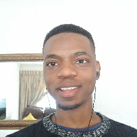Monde Ngwenya-Freelancer in ,South Africa