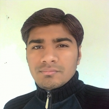Sandip Chaniyara-Freelancer in Rajkot,India