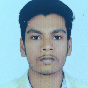 Vinod Ps-Freelancer in ,India