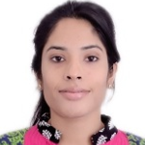 Jain Porwal and Company-Freelancer in Udaipur,India