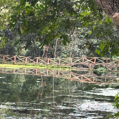 Salamb sher-Freelancer in Brisbane,Tanzania