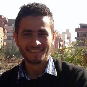 Salah Atwa-Freelancer in Cairo, Egypt,Egypt