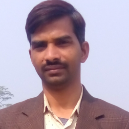 Rajendra Singh Yadav-Freelancer in ,India