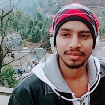 Shayer Ansari-Freelancer in Lucknow,India