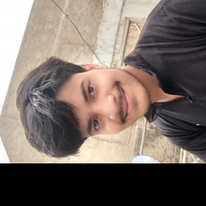 Akshay Mathur-Freelancer in Ajmer,India