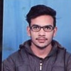 Aashish Soni-Freelancer in Bikaner,India