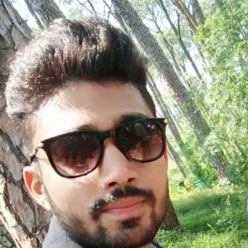 Rajnish Pathania-Freelancer in Himachal,India
